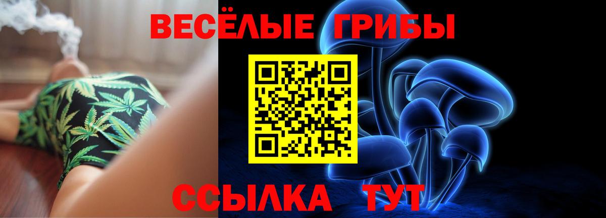 Галлюциногенные грибы Psilocybine cubensis Буйнакск